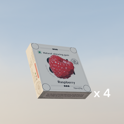 Mishap Edition X Raspberry Chewing Gum - Plastic-Free, Sugar-Free, Natural, Biodegradable, Vegan. 15 Pieces per Pack, 21g, 4 Packs