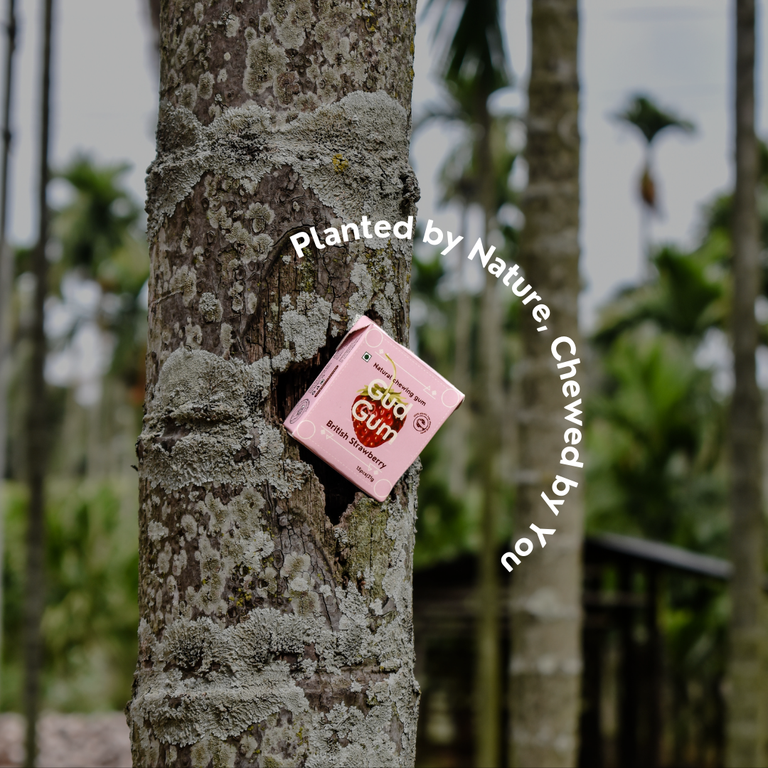 Strawberry Chewing Gum