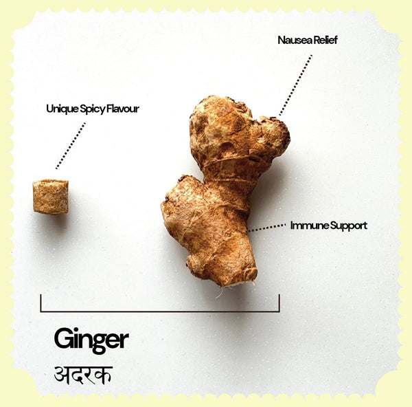 Ginger Chewing Gum Plastic Free, Sugar Free, Natural, Biodegradable